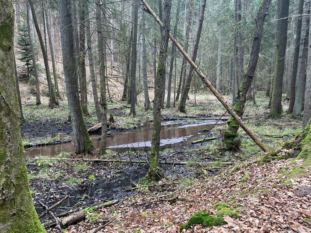 23-02-26 13-37-30 4358